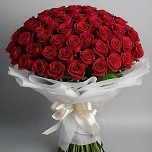 Букет 101 Красная роза Блэк Мэджик в Толмачёво