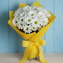 Букет цветов из:  Хризантемы #REPLACE_PRED# Толмачёво