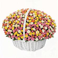 Премиум букет из: Розы в Толмачёво