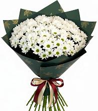 Букет цветов из:  Хризантемы в Толмачёво