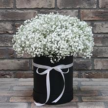 Цветочная композиция из Гипсофила в шляпной коробке в Толмачёво