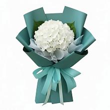Букет цветов из:  Гортензия в Толмачёво